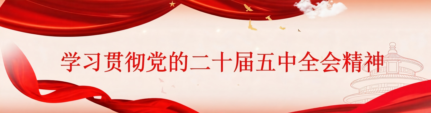 进建贯彻党的二十届五中全会心灵